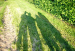 2013_gs_selection_0015