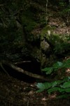 2010_zl_johanna_020