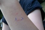2010_zl_johanna_050