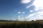 2010_zl_johanna_087