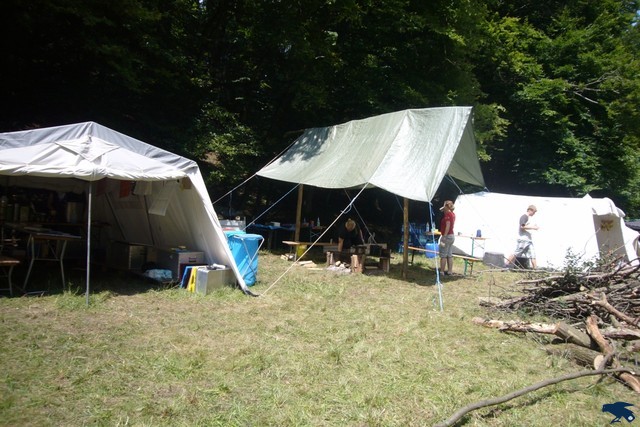 2010_zl_simone_013