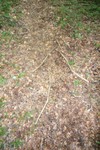2010_zl_simone_055