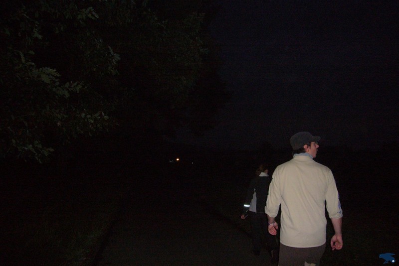 2010_zl_simone_144