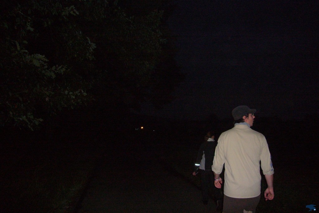 2010_zl_simone_144
