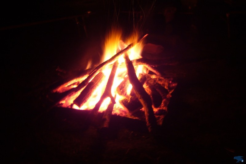 2010_zl_simone_232