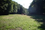 2010_zl_simone_236
