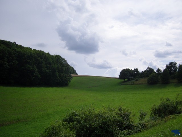 2010_zl_stephie_012