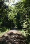 2010_hajk_charlie_070