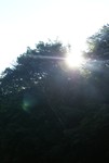 2010_zl_charlie_032