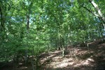 2010_zl_charlie_055