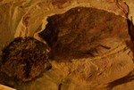2010_zl_charlie_141