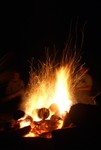 2010_zl_charlie_384