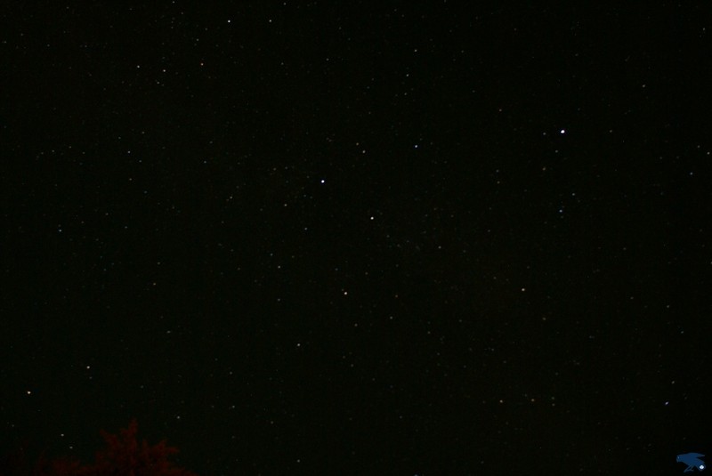 2010_zl_charlie_409