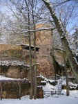 2010_steinegg_stephie_011