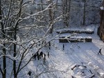 2010_steinegg_stephie_018