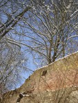 2010_steinegg_stephie_026