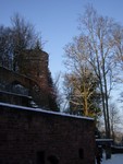 2010_steinegg_stephie_054